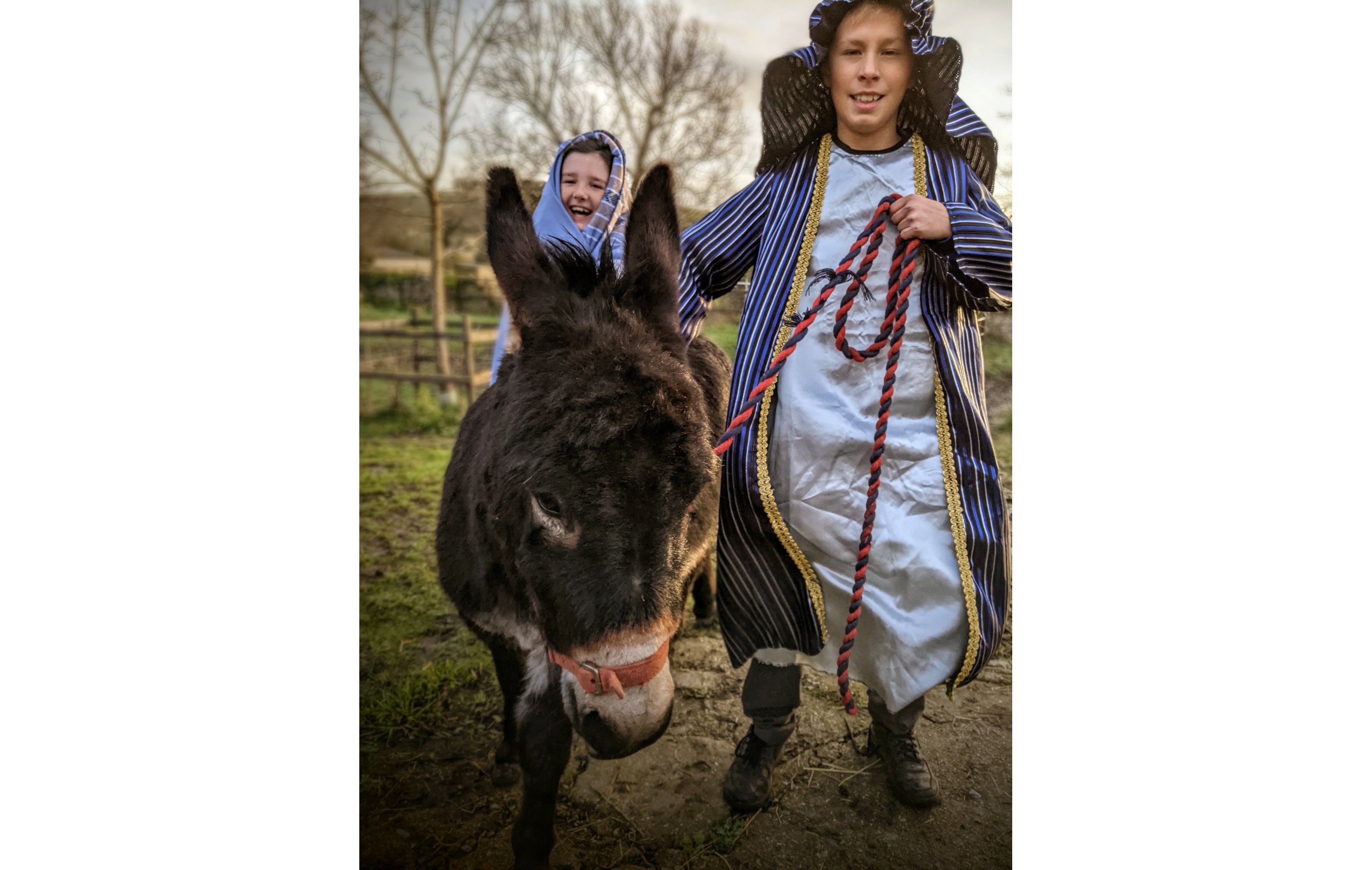 Joseph Mary Donkey